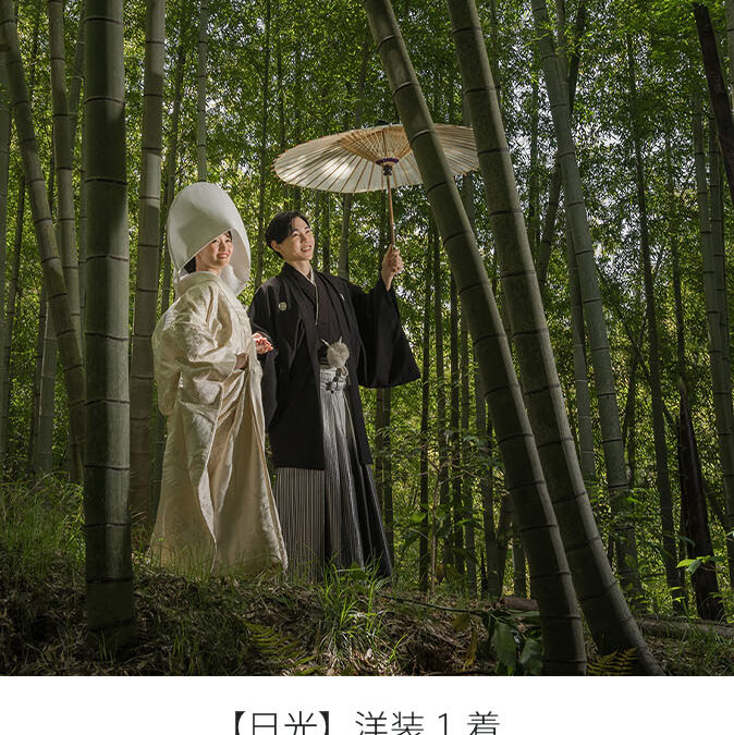 日光 はやぶさプラン