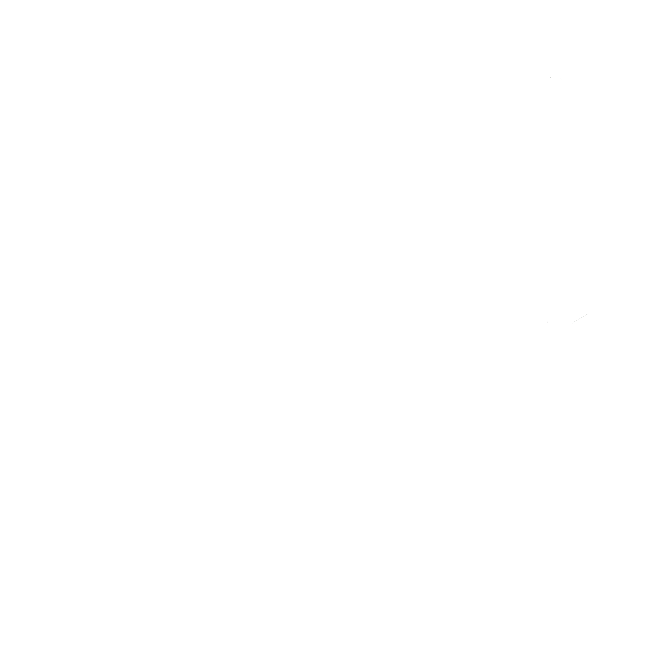 option_icon お花飾りなどの小物のアイコン